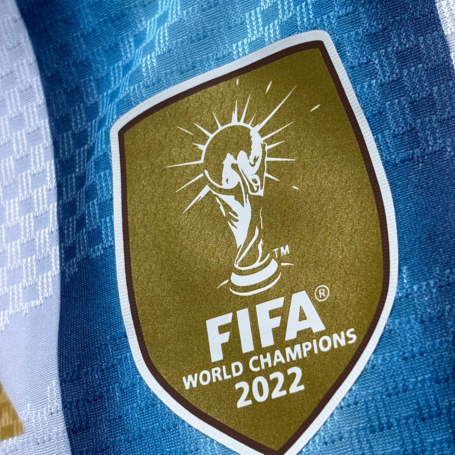 Sélection Nationale Argentine Maillot Domicile ( Home )