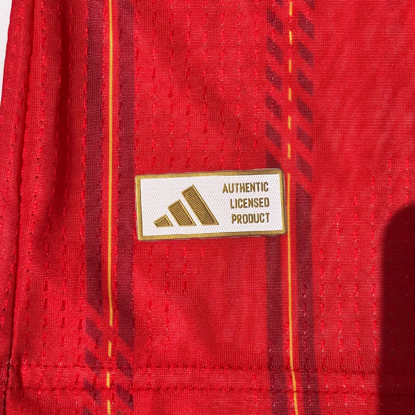 Sélection Nationale Espagnole Maillot Domicile ( Home )