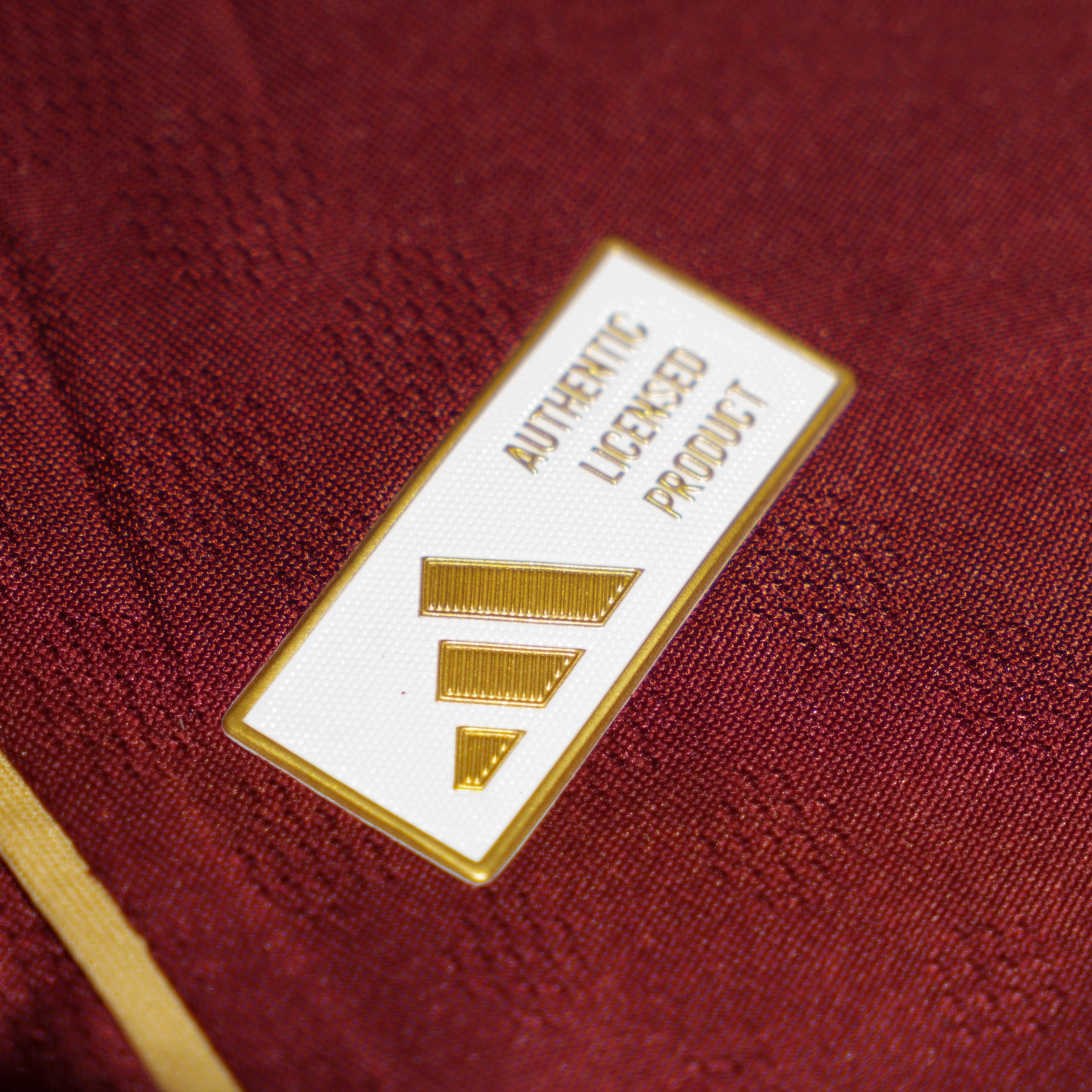 Aston Villa Maillot Domicile